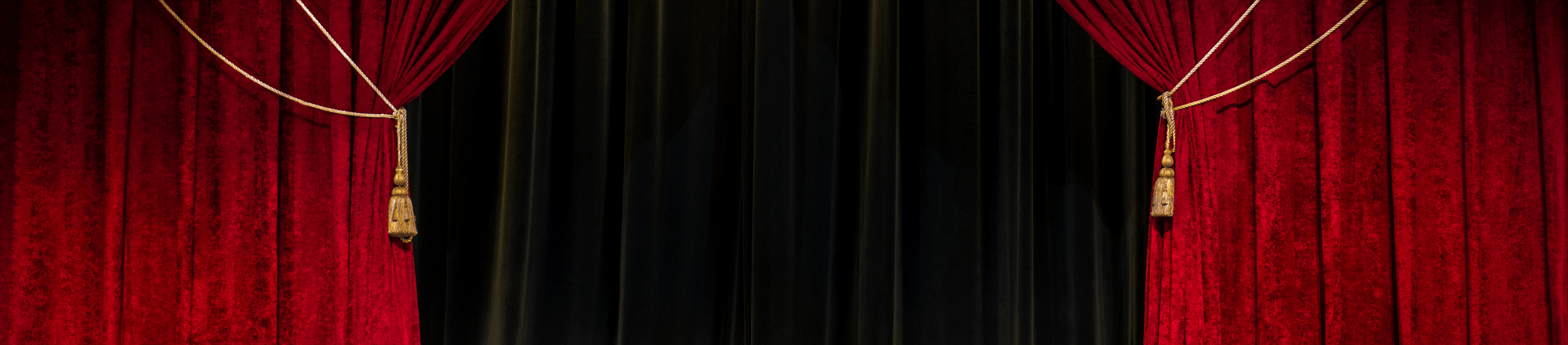 DSG Website Banner YOD Got Talent 2023
